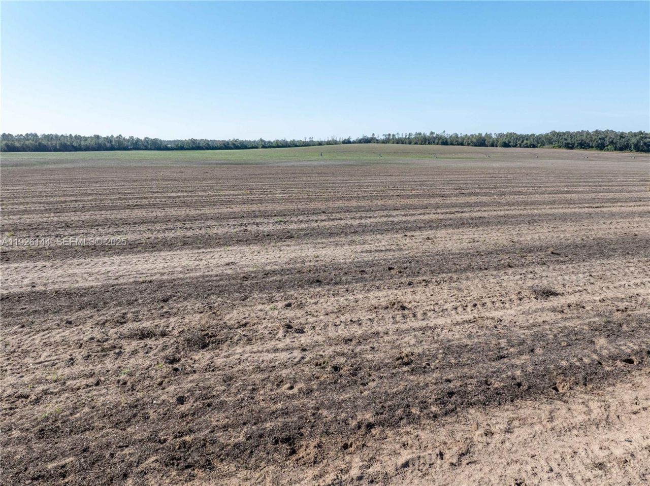 Ne Daisy St, Madison, FL 32340 Photo