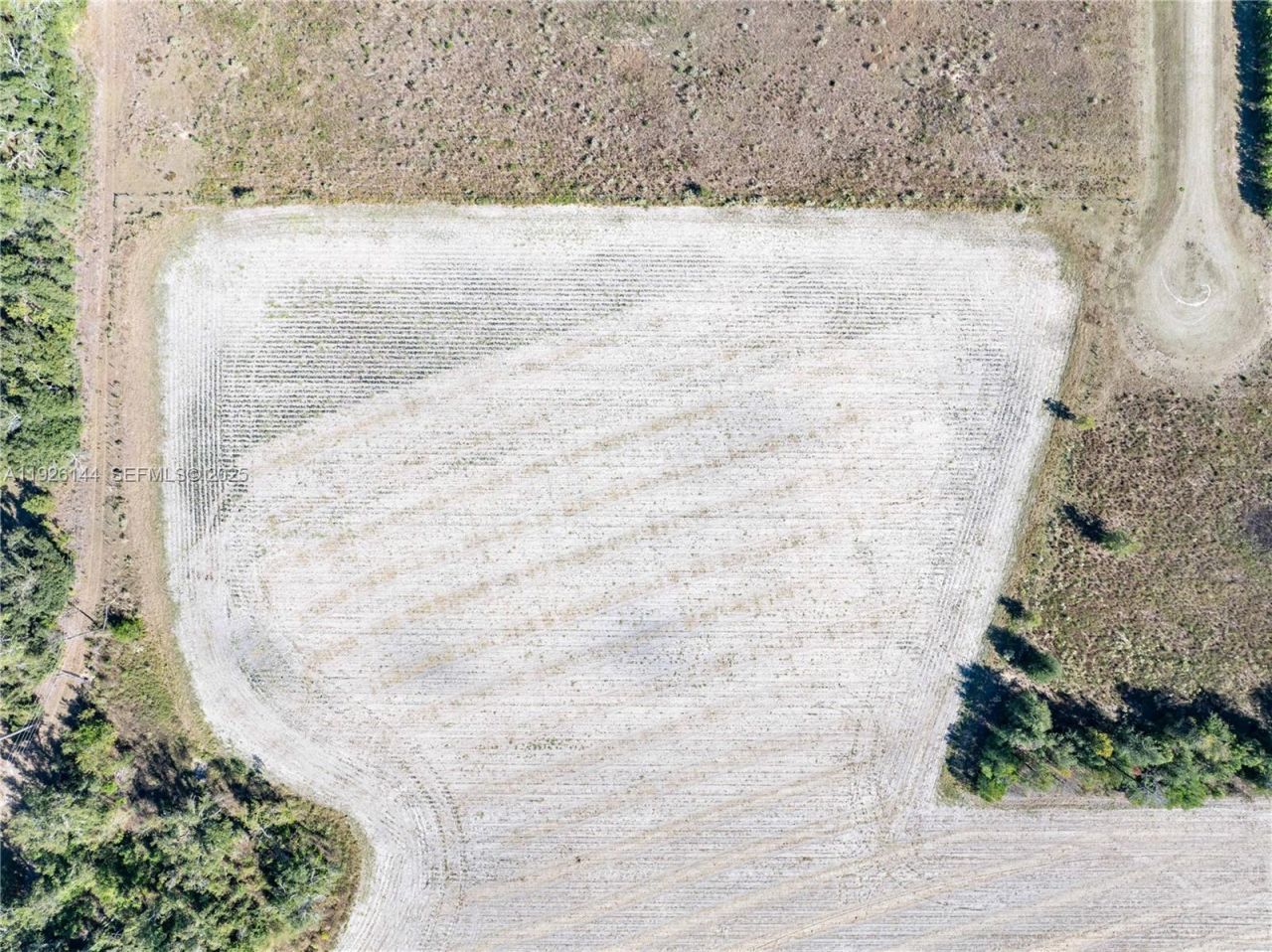 Ne Daisy St, Madison, FL 32340 Photo