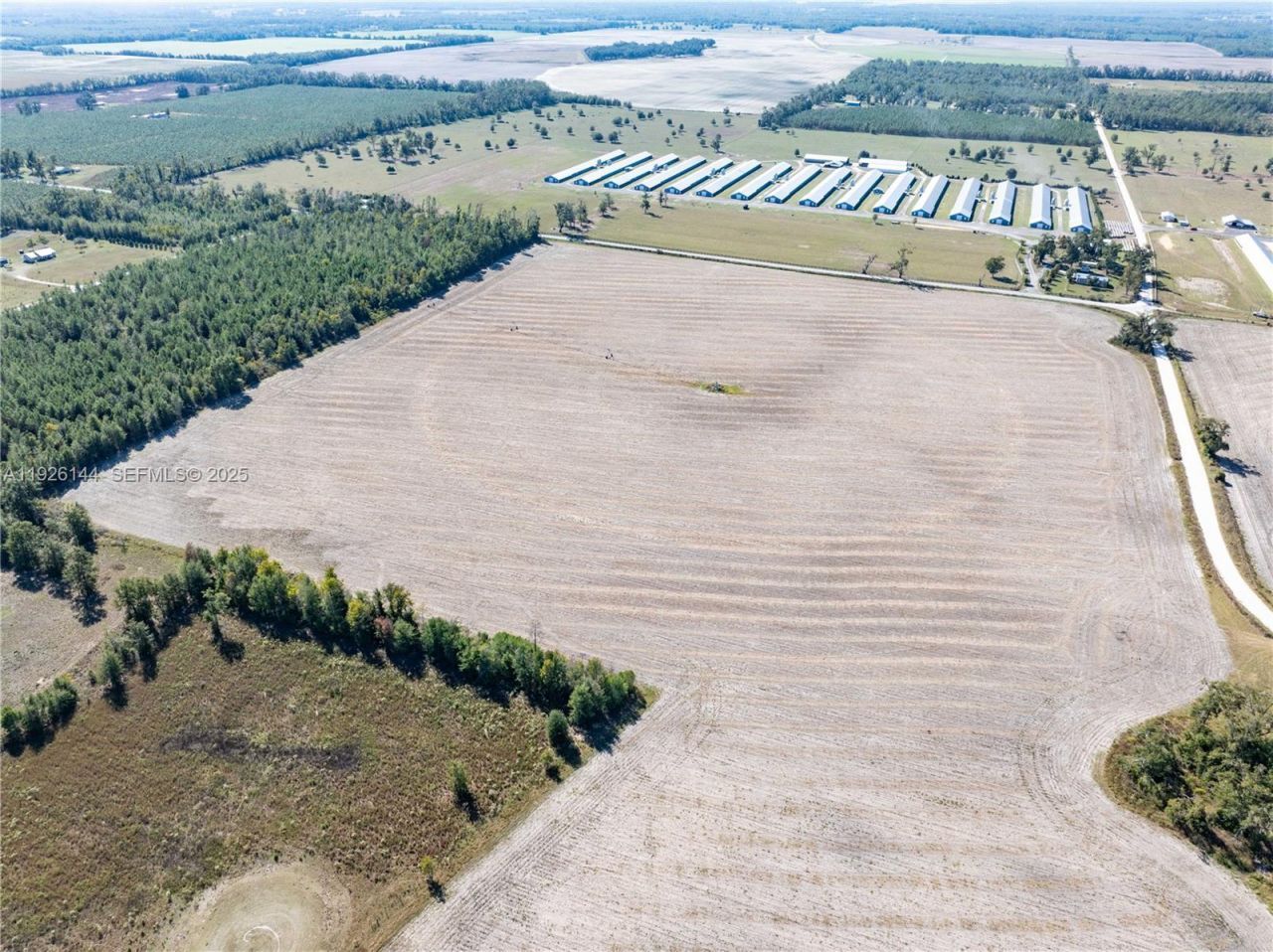 Ne Daisy St, Madison, FL 32340 Photo