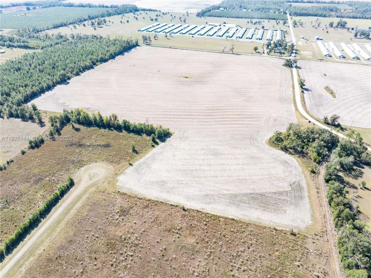 Ne Daisy St, Madison, FL 32340 Photo