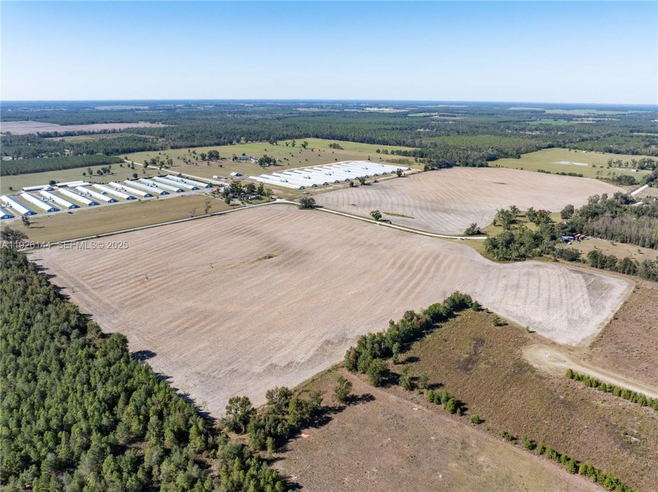 Ne Daisy St, Madison, FL 32340 Photo