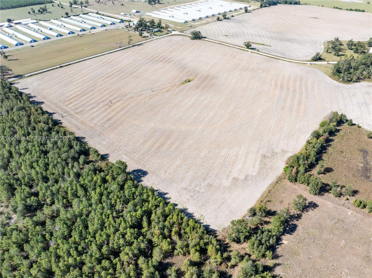 Ne Daisy St, Madison, FL 32340 Photo