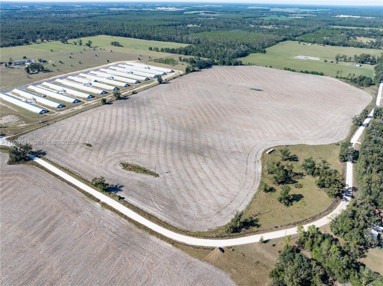 Ne Daisy St, Madison, FL 32340 Photo