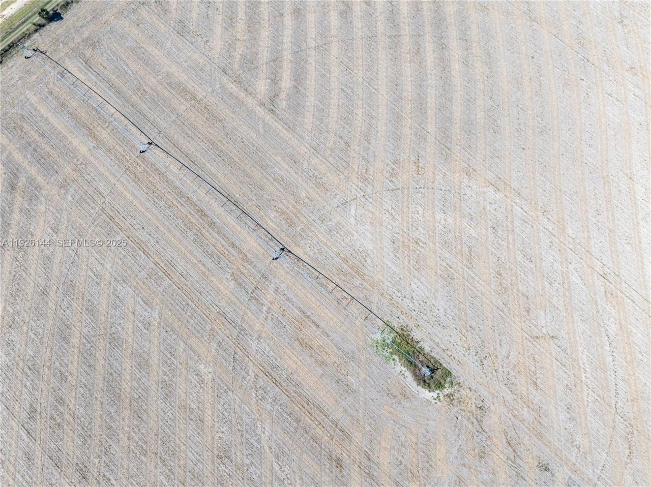 Ne Daisy St, Madison, FL 32340 Photo