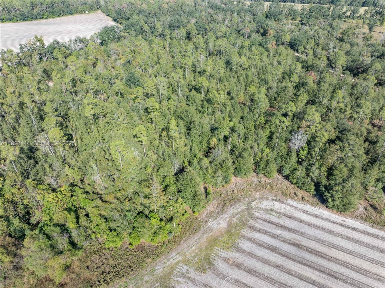 Ne Daisy St, Madison, FL 32340 Photo