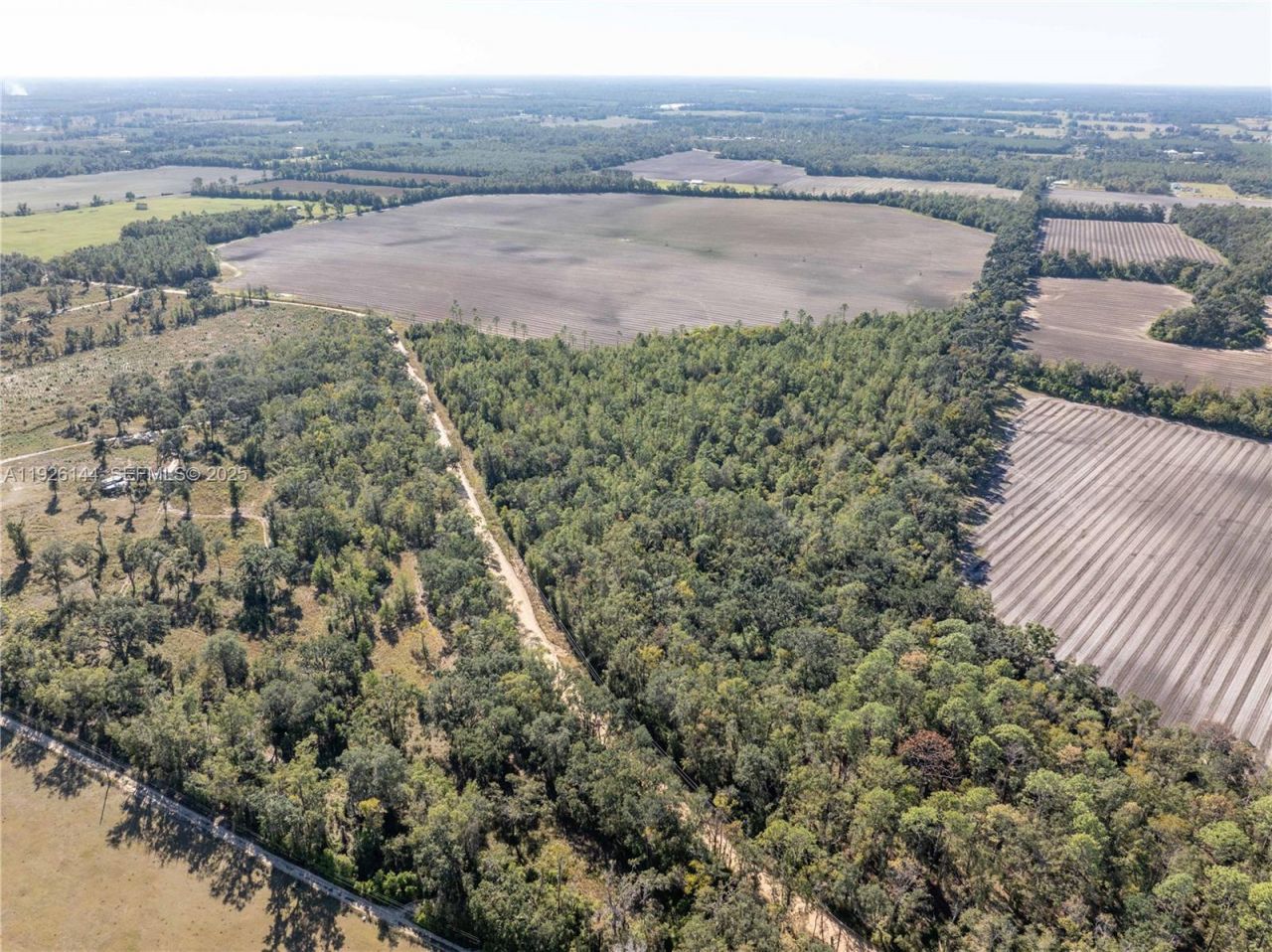 Ne Daisy St, Madison, FL 32340 Photo