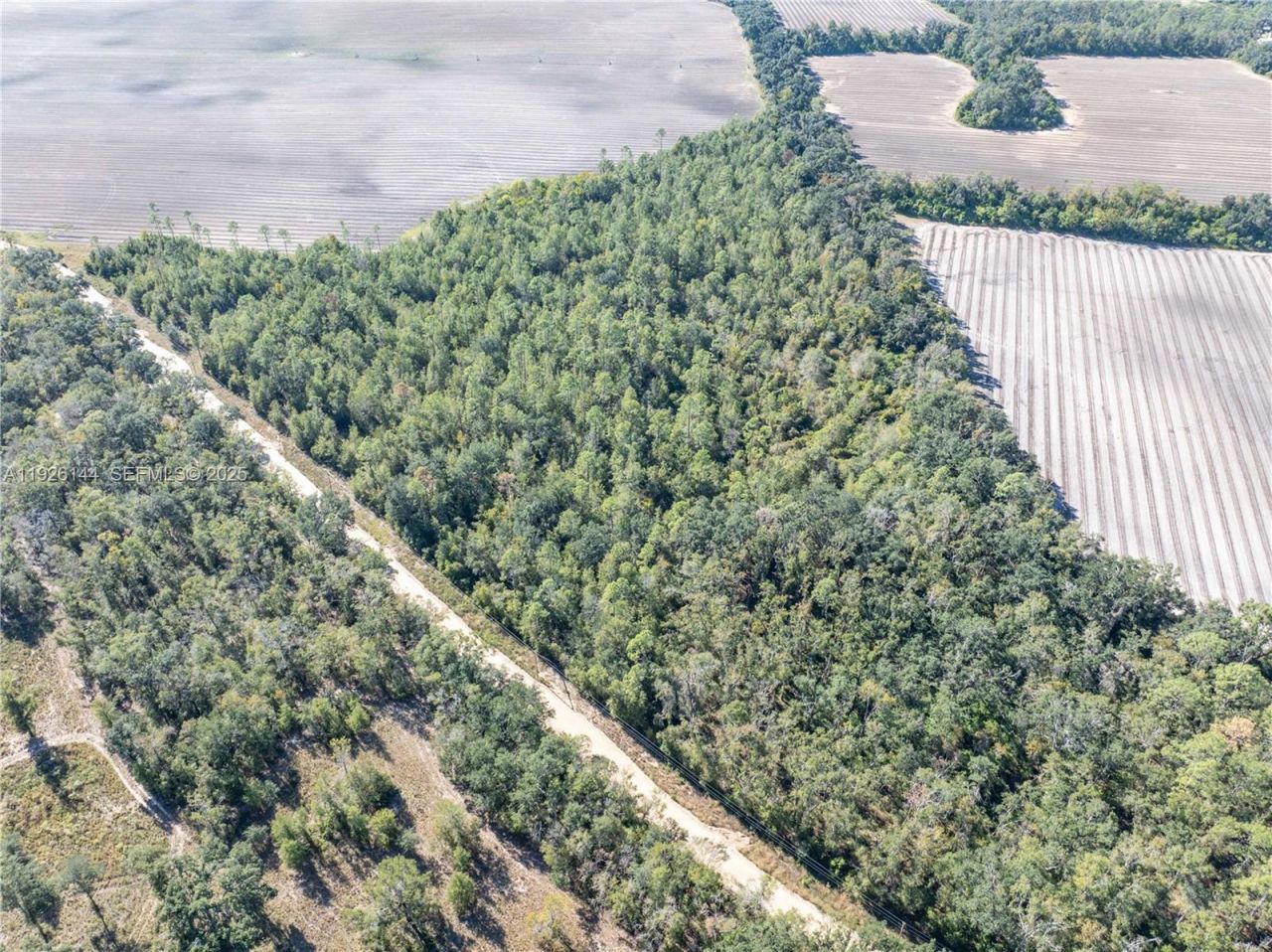 Ne Daisy St, Madison, FL 32340 Photo