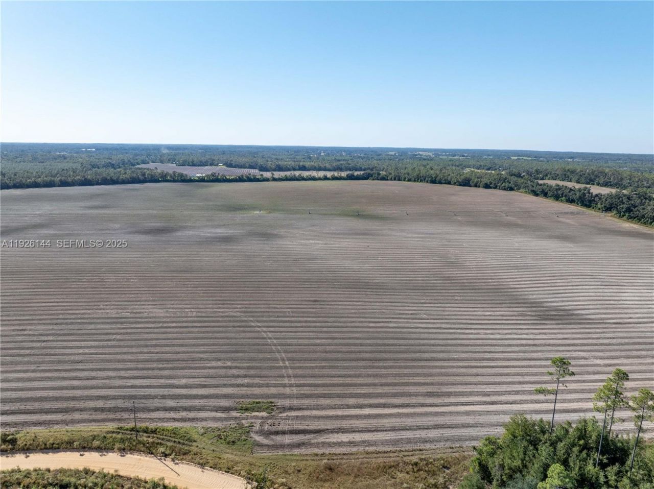 Ne Daisy St, Madison, FL 32340 Photo