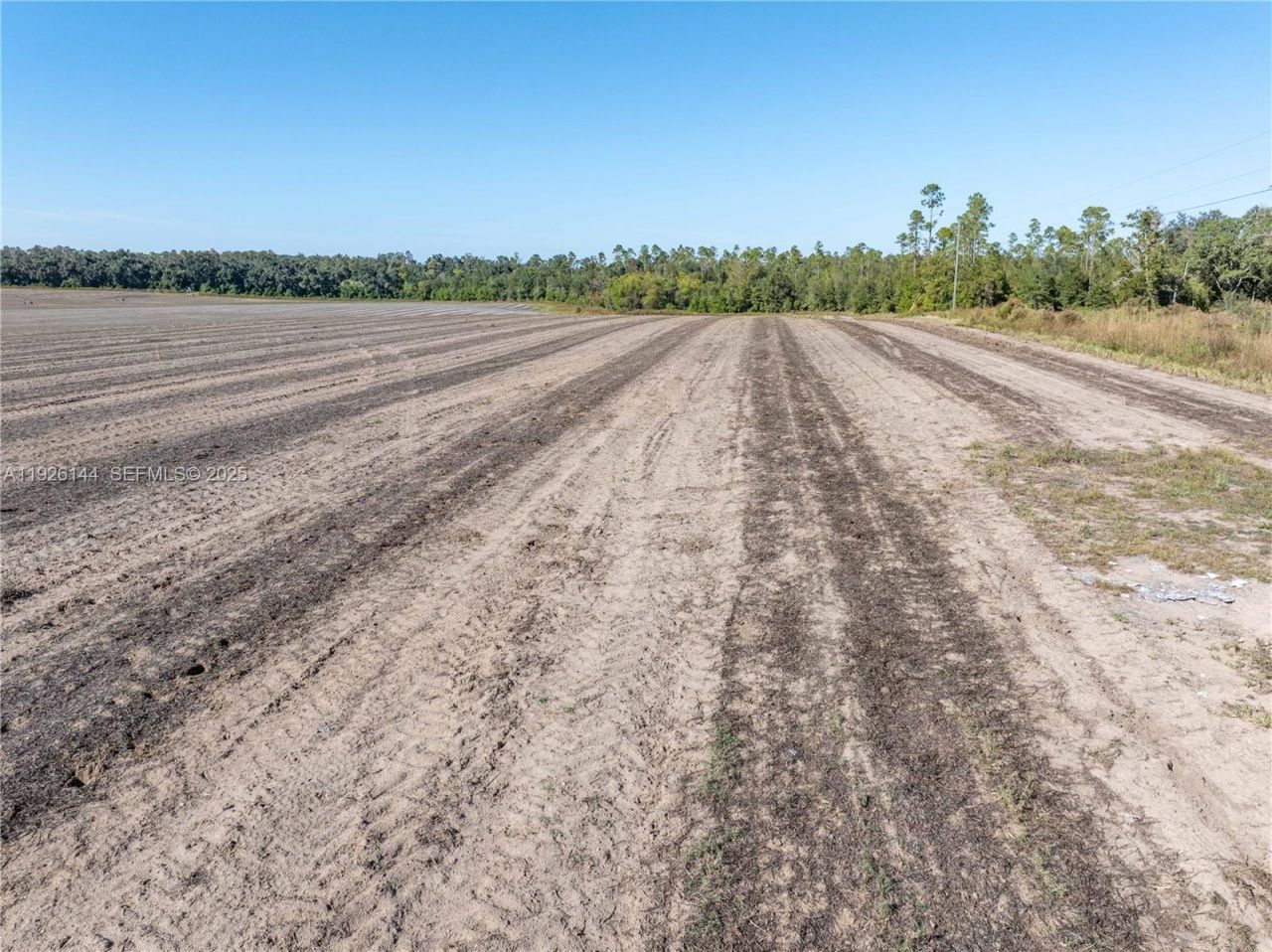 Ne Daisy St, Madison, FL 32340 Photo