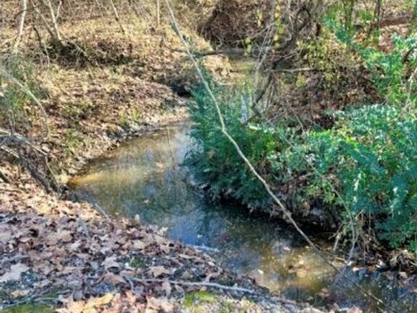 0 Horn Lake Road, Memphis, TN 38109