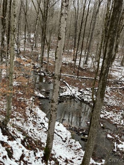 Jersey Hill Road, Canaseraga, NY 14822 Main Photo