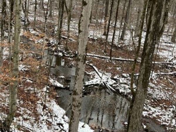 Jersey Hill Road, Canaseraga, NY 14822