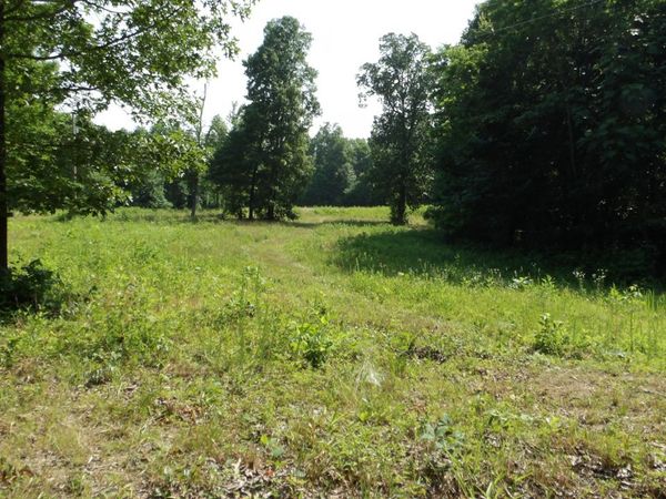 0 Pleasant Cemetery Lane, Gainesboro, TN 38562