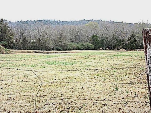 Greenbrier, AR 72058