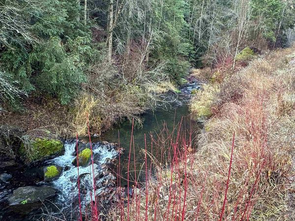 NKA Deer Creek Rd, Valley, WA 99181