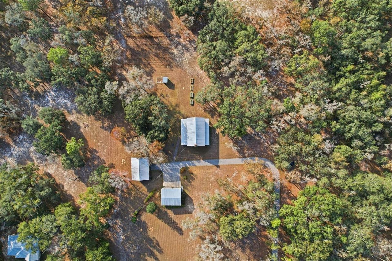 7310 S Irma Point, Lecanto, FL 34461 Photo