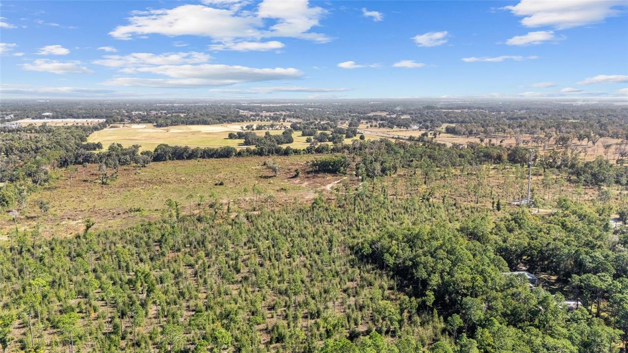 1 Petition, Lot #4261-1, Ocala, FL 34481 Photo