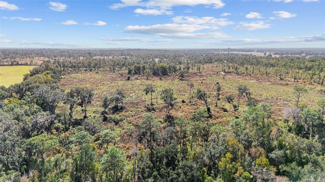 1 Petition, Lot #4261-1, Ocala, FL 34481 Photo