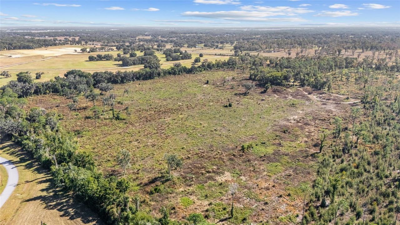 1 Petition, Lot #4261-1, Ocala, FL 34481 Photo