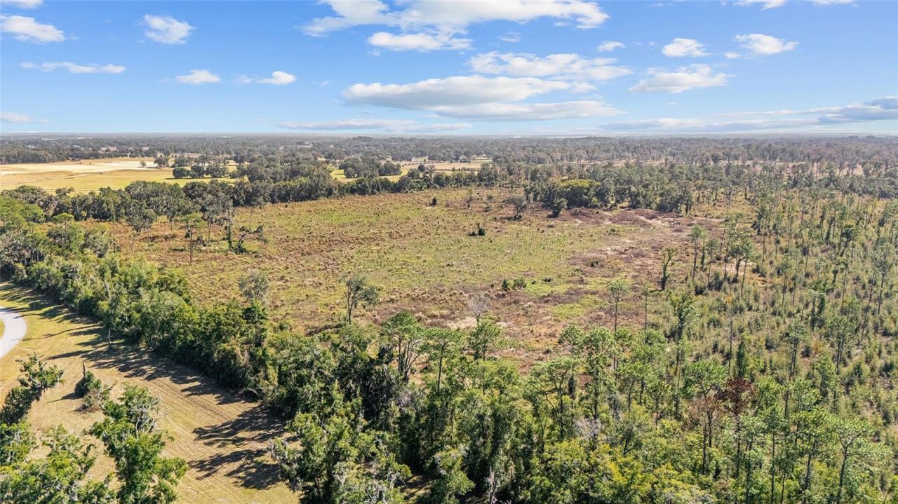 1 Petition, Lot #4261-1, Ocala, FL 34481 Photo