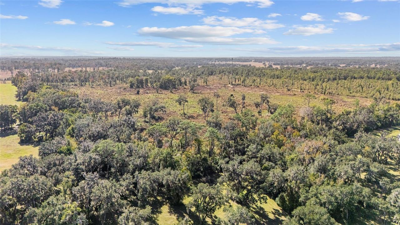 1 Petition, Lot #4261-1, Ocala, FL 34481 Photo
