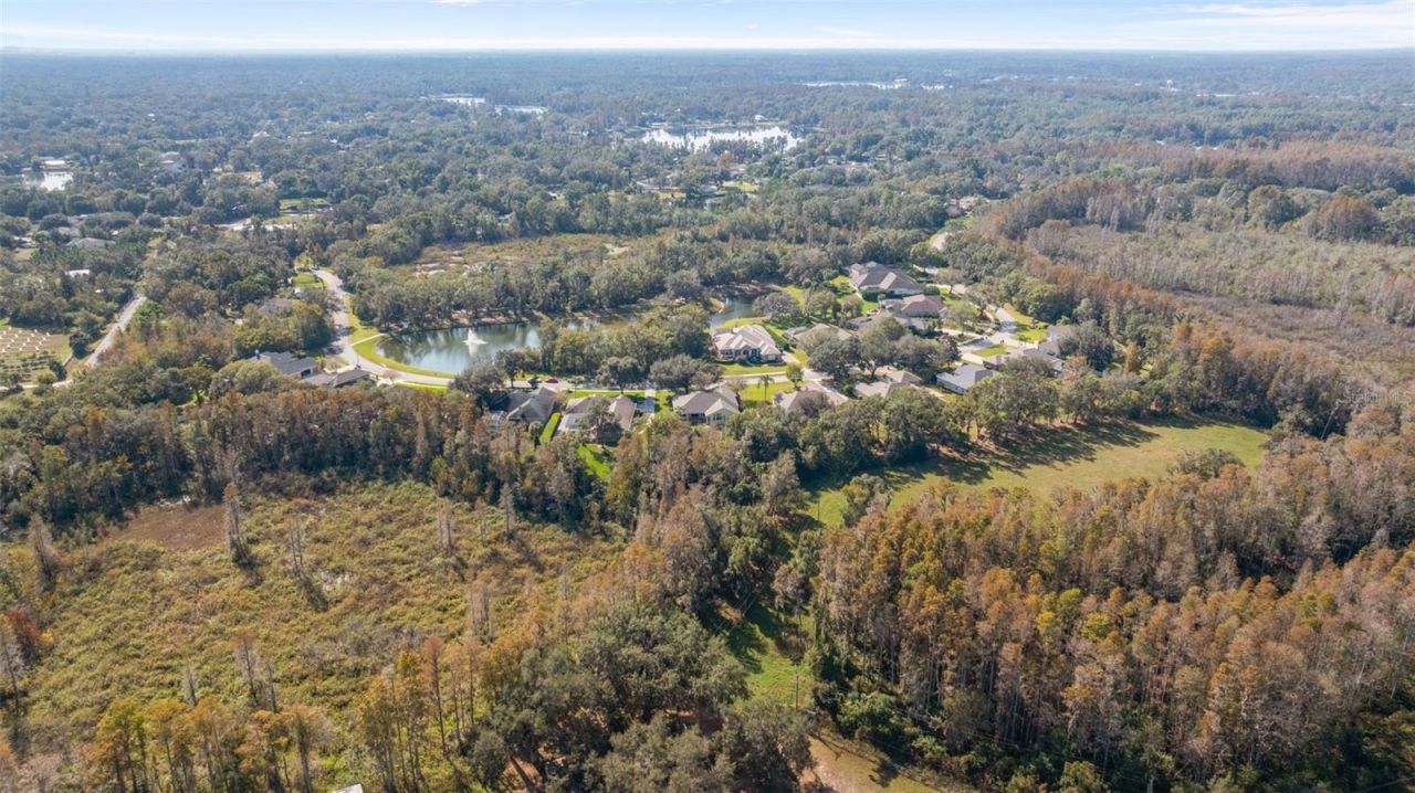 1452 Kensington Woods Drive, Lutz, FL 33549 Photo