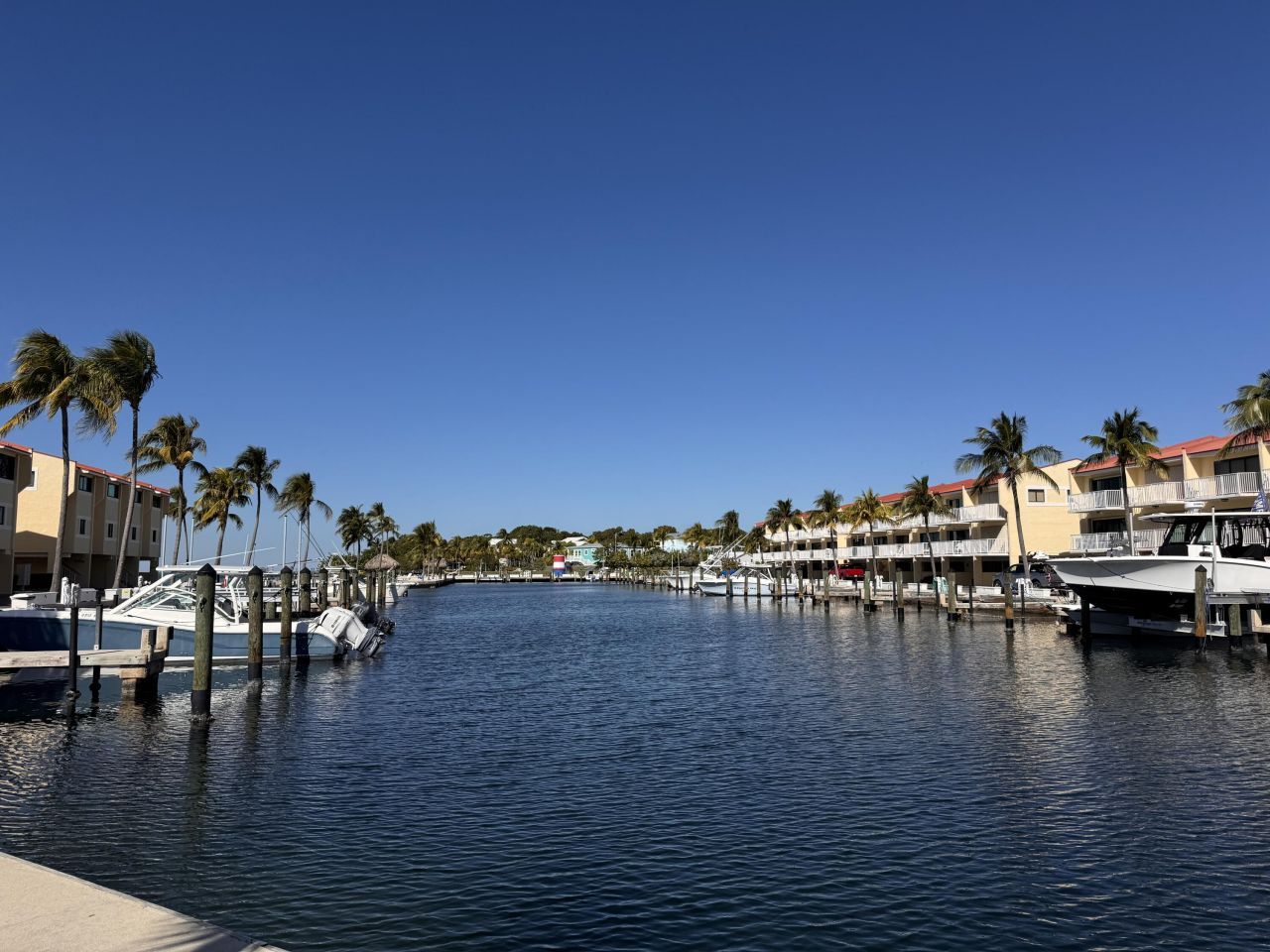88540 Overseas Highway, Unit 203, Tavernier, FL 33070 Photo