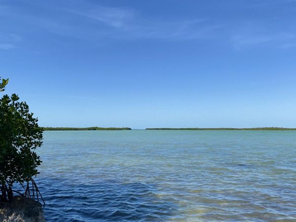 813 2Nd Street, Big Coppitt, FL 33040