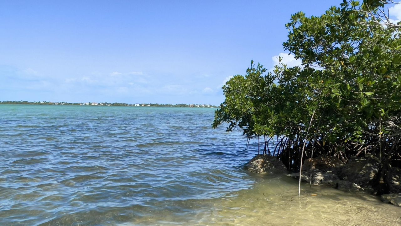 813 2nd Street, Big Coppitt, FL 33040 Photo