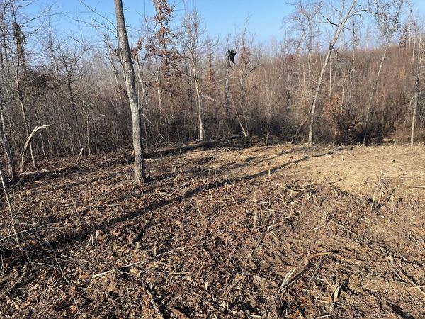 0 Driftwood Dr, Lobelville, TN 37097