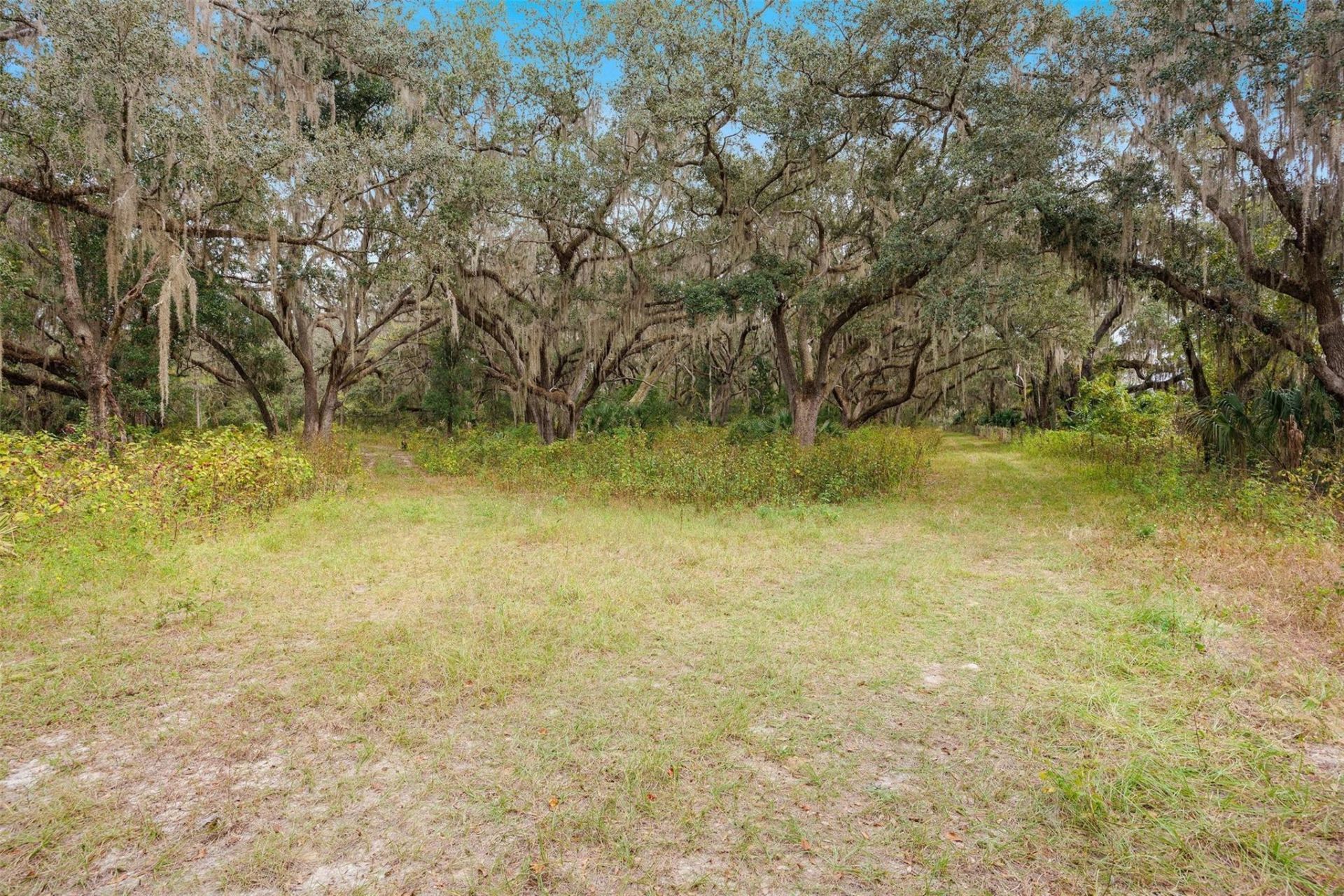 41526 Saddle Ridge Lane, Weirsdale, FL 32195 Photo