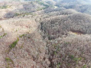 1111 Arkle Road, Gray, KY 40734