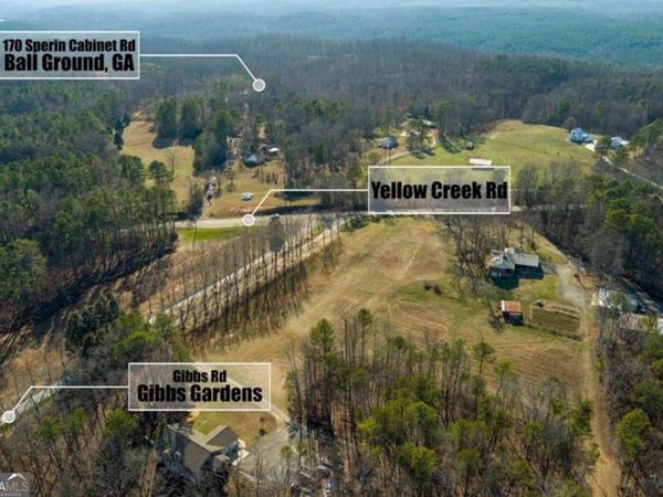 170 Sperin Cabinet Road, Ball Ground, GA 30107