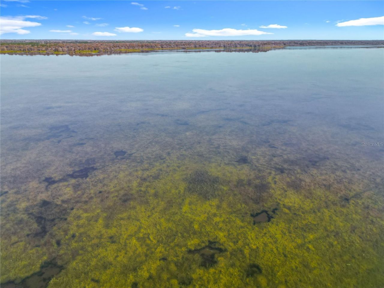 4192 Cr 400, Lake Panasoffkee, FL 33538 Photo