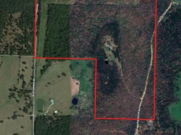 TBD Blue Springs Road, Goshen, AR 72735