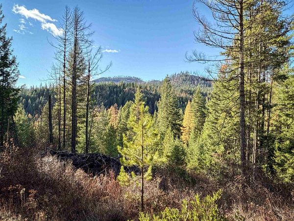 TBD Olinger (Hammer) Rd, Springdale, WA 99173