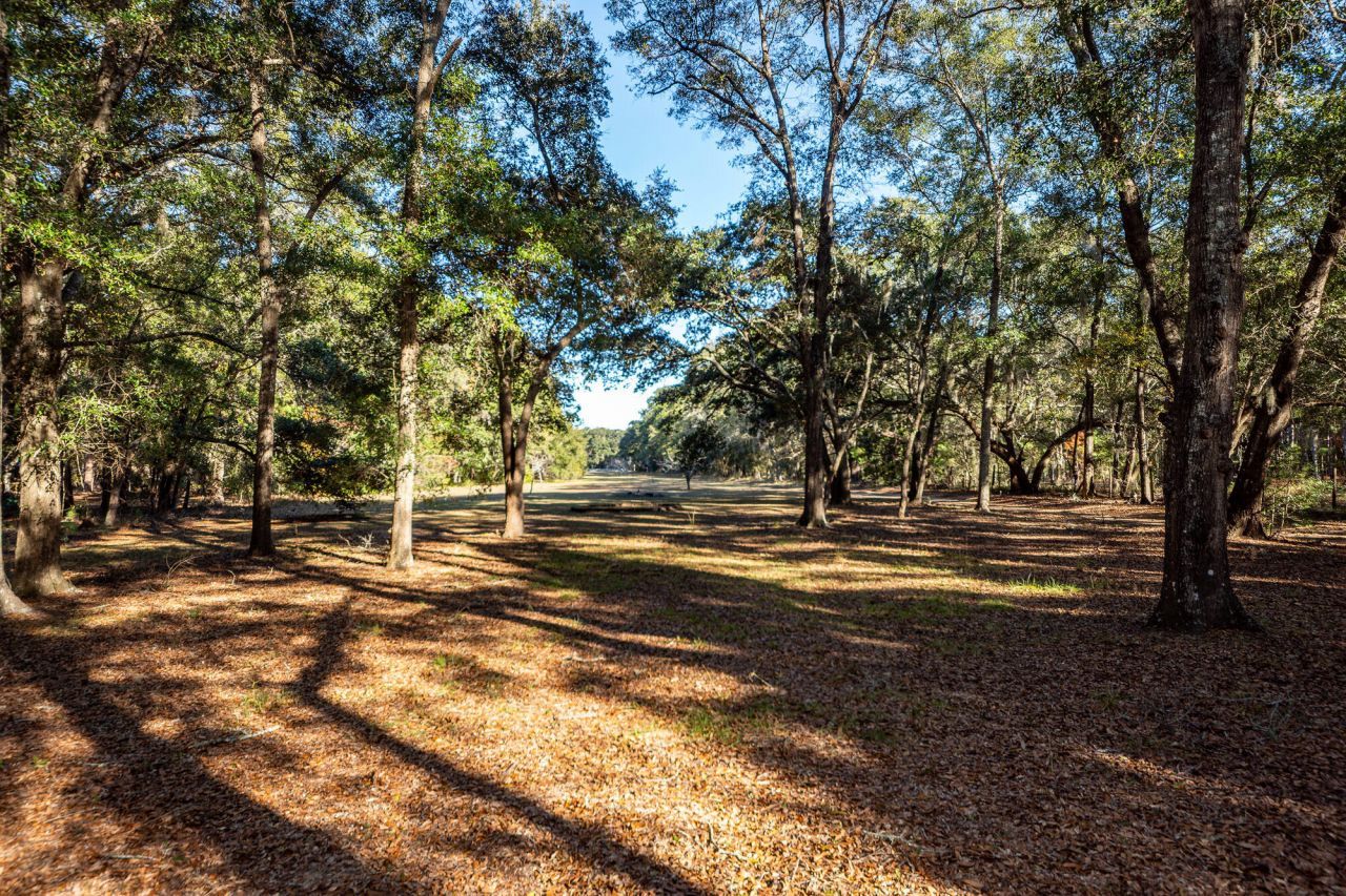 6976 Maybank Highway Photo 91