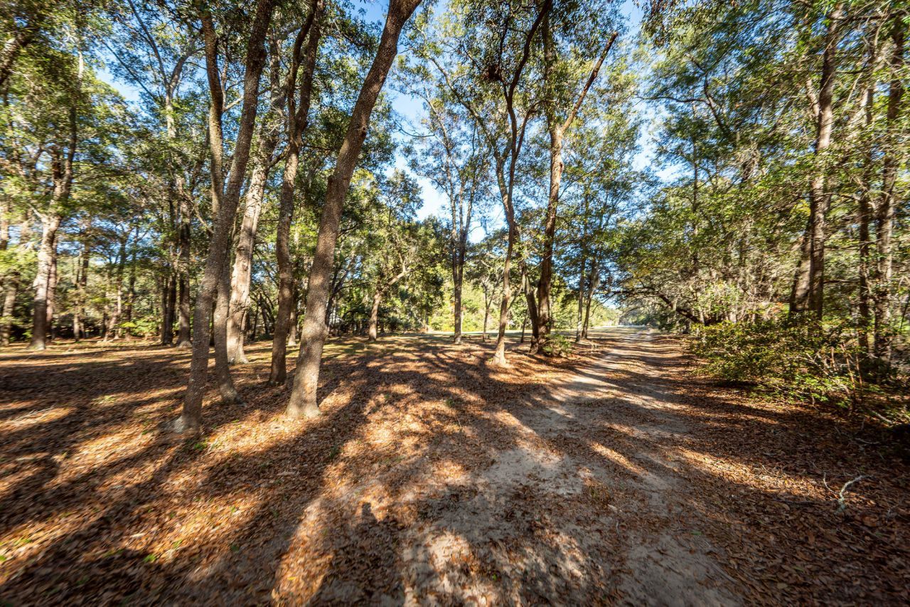 6976 Maybank Highway Photo 92