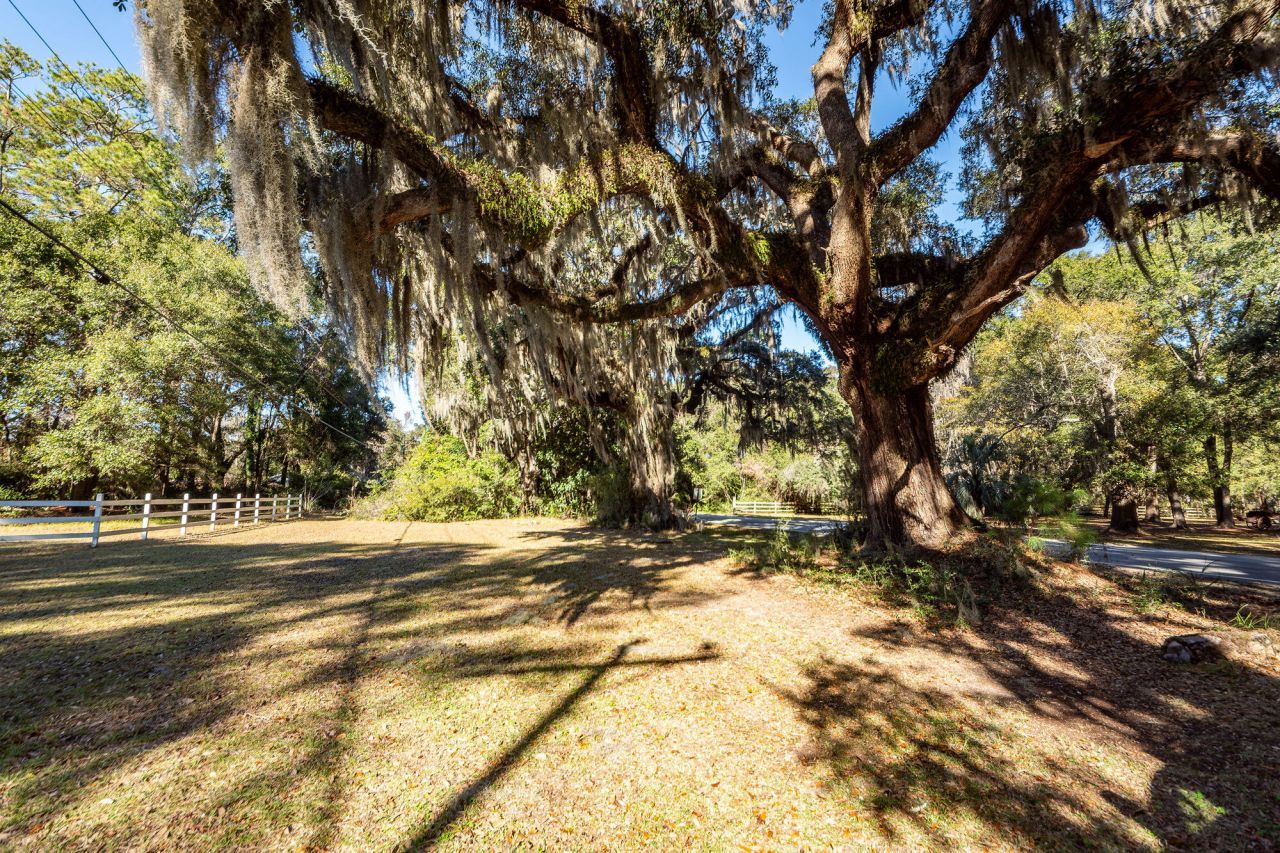 6976 Maybank Highway Photo 94