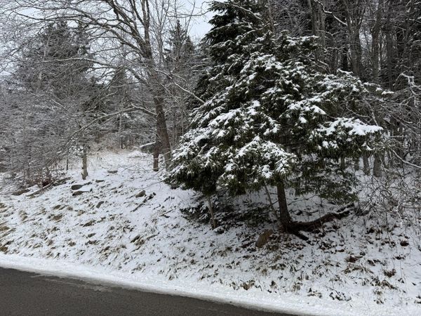 361 North West Ridge Rd, Snowshoe, WV 26209