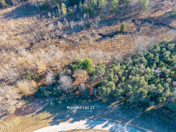 11250 Killarney Drive, Stanwood, MI 49346