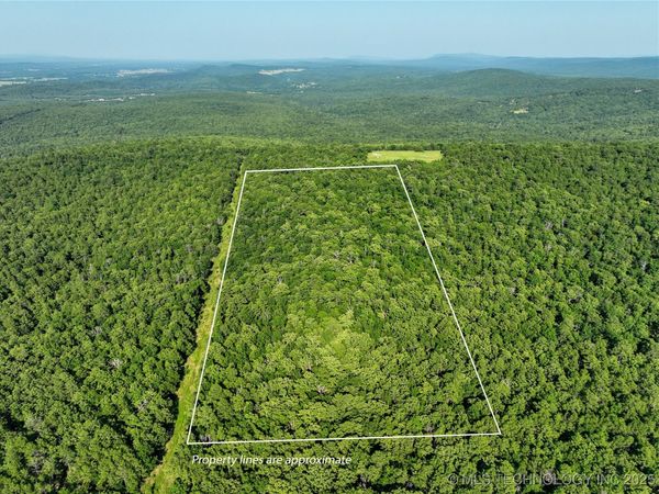 1 Hulsey Prairie , Panola, OK 74559