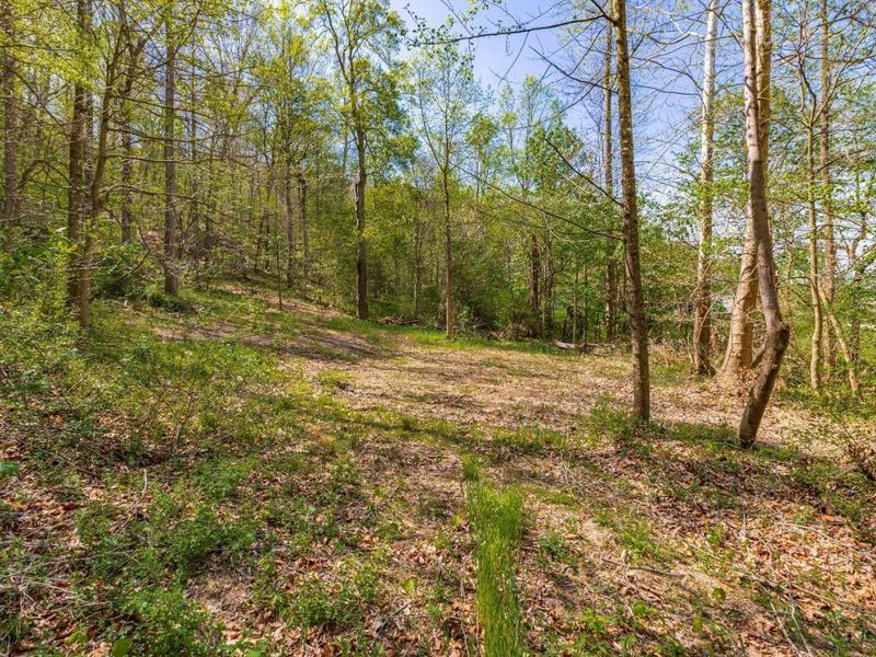 0 Blue Creek Road, Jefferson Twp, OH 45616 Photo 15