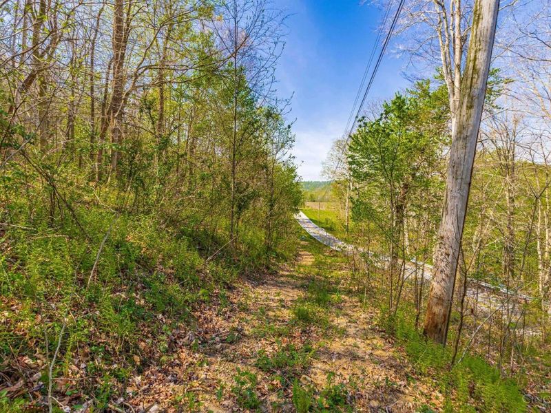0 Blue Creek Road, Jefferson Twp, OH 45616 Photo 18