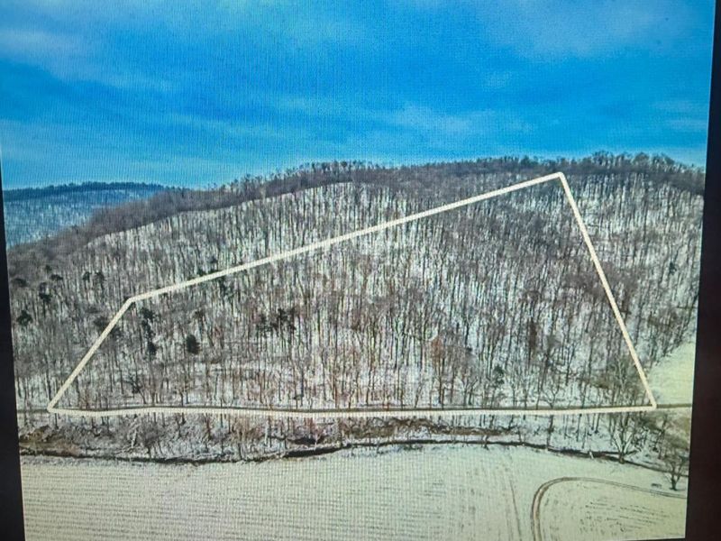 0 Blue Creek Road, Jefferson Twp, OH 45616 Photo 2