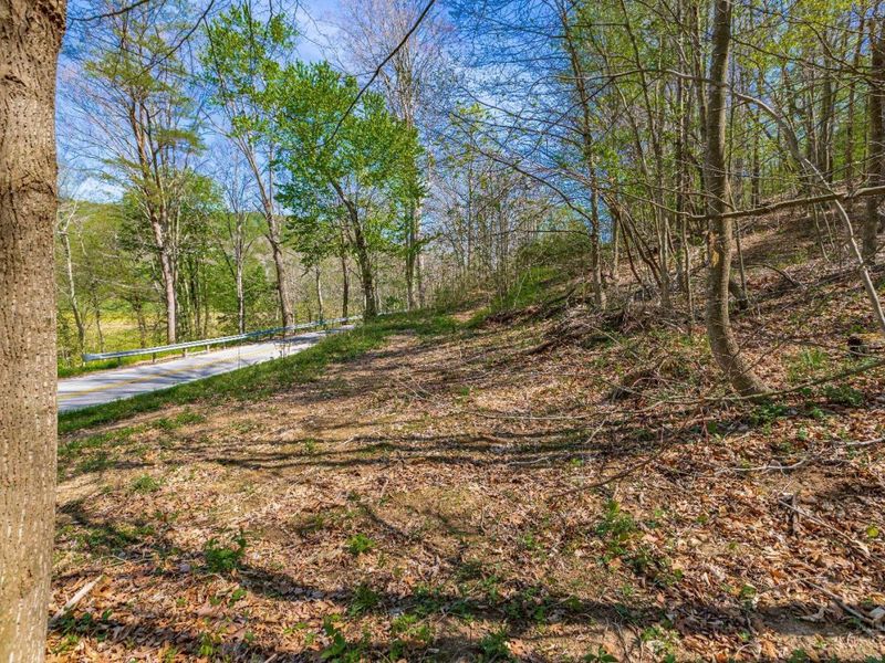 0 Blue Creek Road, Jefferson Twp, OH 45616 Photo 3
