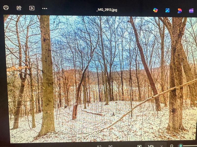 0 Blue Creek Road, Jefferson Twp, OH 45616 Photo 3