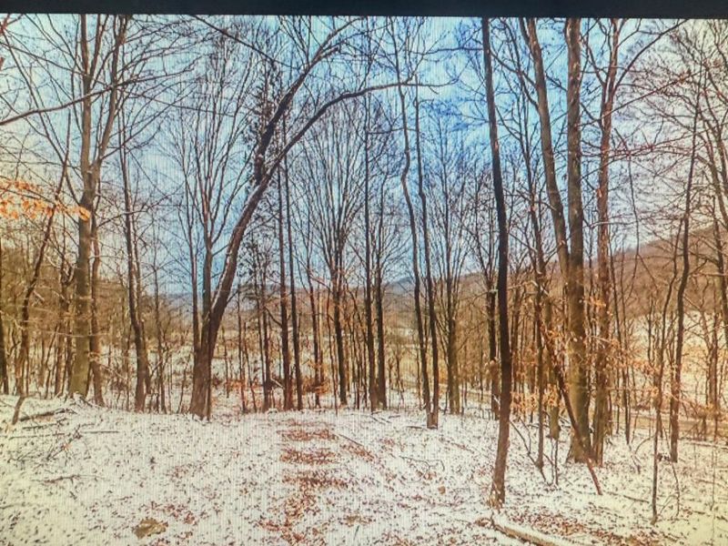 0 Blue Creek Road, Jefferson Twp, OH 45616 Photo 4