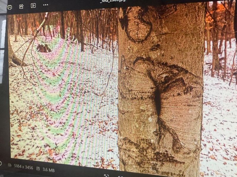 0 Blue Creek Road, Jefferson Twp, OH 45616 Photo 5