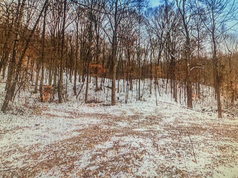 0 Blue Creek Road, Jefferson Twp, OH 45616 Photo 7